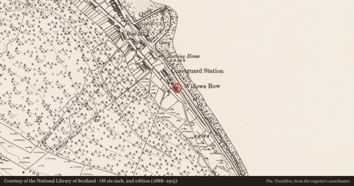 Ordnance Survey six-inch map, 2nd edition (1888–1915) covering the location of 173 South Promenade ('Widows' Row'), Ballaghbeg, Newry, Mourne and Down, with a pin at the register's coordinates