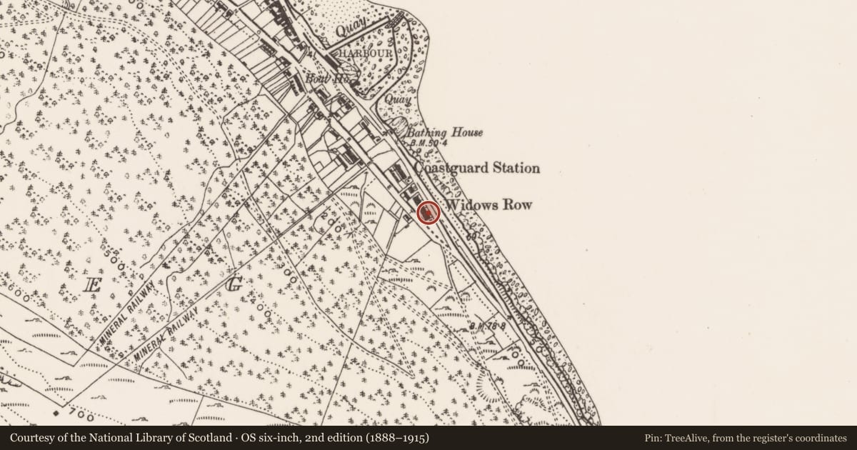 Ordnance Survey six-inch map, 2nd edition (1888–1915) covering the location of 175 South Promenade ('Widows' Row'), Ballaghbeg, Newry, Mourne and Down, with a pin at the register's coordinates