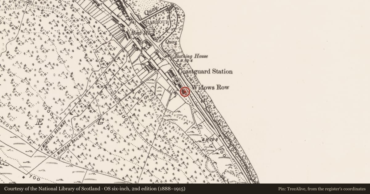 Ordnance Survey six-inch map, 2nd edition (1888–1915) covering the location of 177 South Promenade ('Widows' Row'), Ballaghbeg, Newry, Mourne and Down, with a pin at the register's coordinates