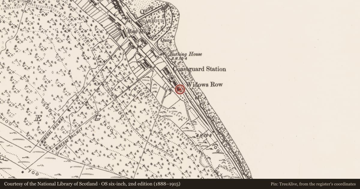 Ordnance Survey six-inch map, 2nd edition (1888–1915) covering the location of 179 South Promenade ('Widows' Row'), Ballaghbeg, Newry, Mourne and Down, with a pin at the register's coordinates