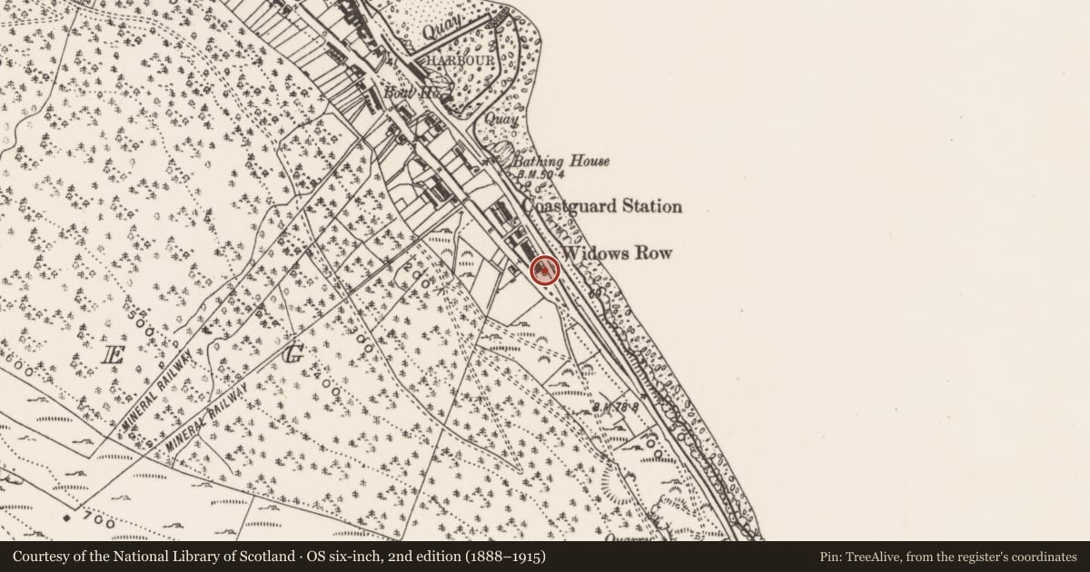 Ordnance Survey six-inch map, 2nd edition (1888–1915) covering the location of 181 South Promenade ('Widows' Row'), Ballaghbeg, Newry, Mourne and Down, with a pin at the register's coordinates
