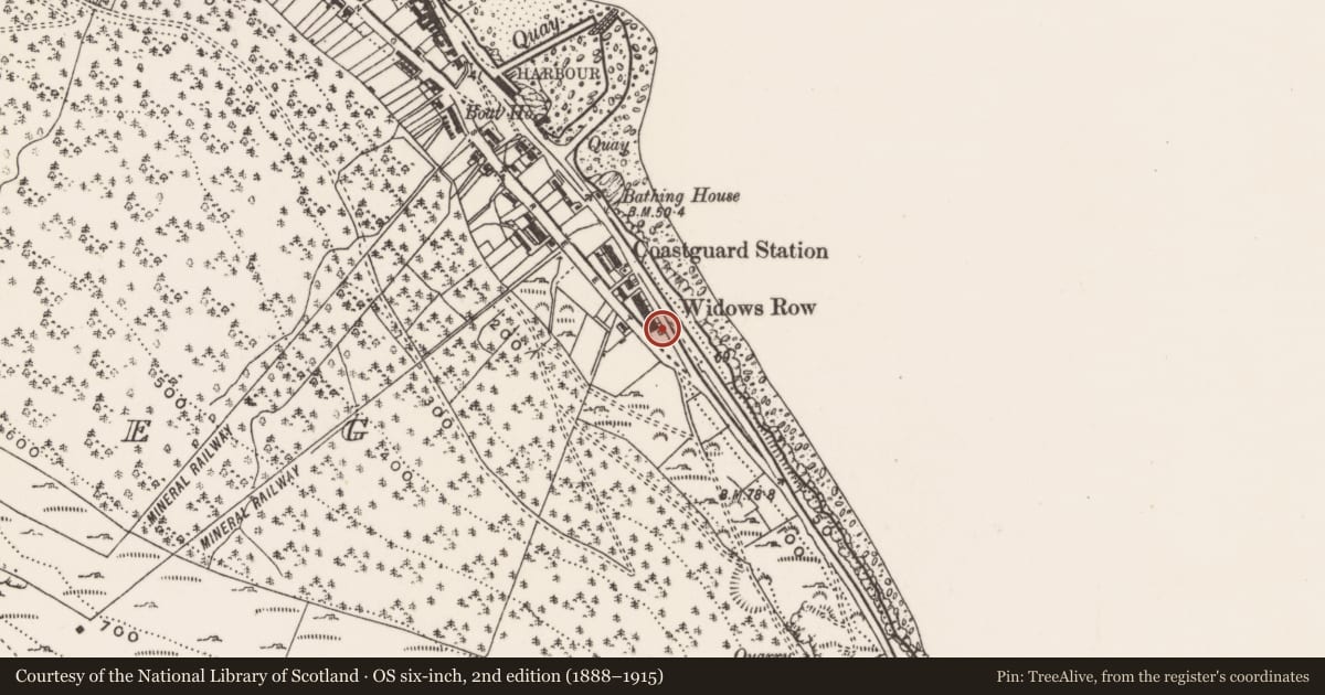 Ordnance Survey six-inch map, 2nd edition (1888–1915) covering the location of 183 South Promenade ('Widows' Row'), Ballaghbeg, Newry, Mourne and Down, with a pin at the register's coordinates