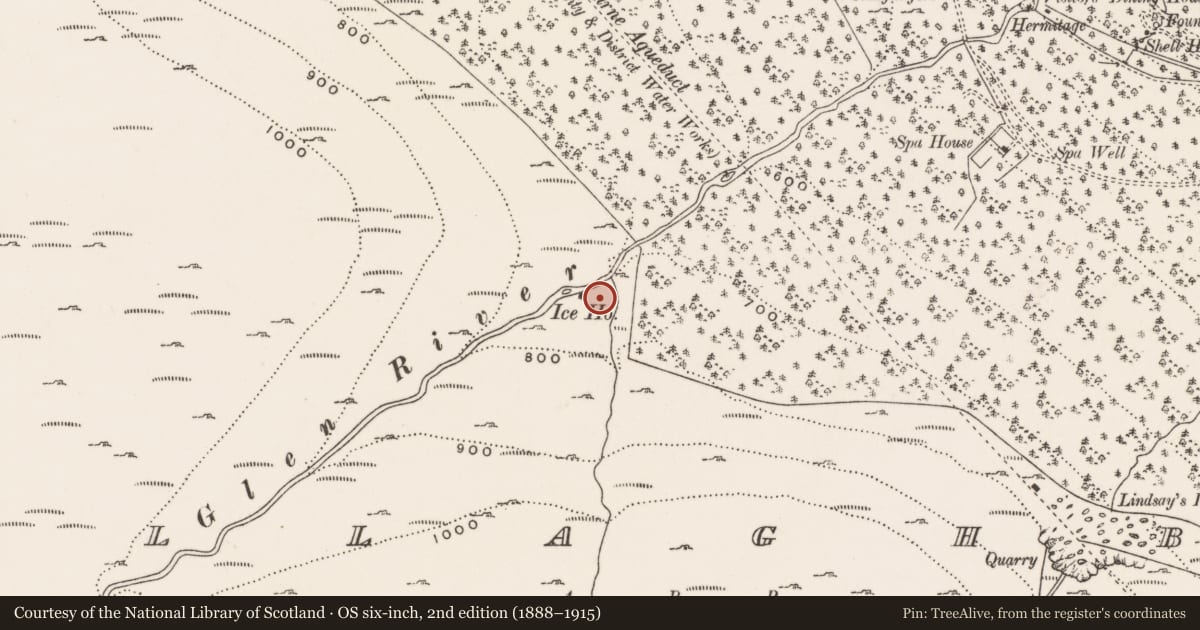 Ordnance Survey six-inch map, 2nd edition (1888–1915) covering the location of Ice House, Ballaghbeg, Newry, Mourne and Down, with a pin at the register's coordinates