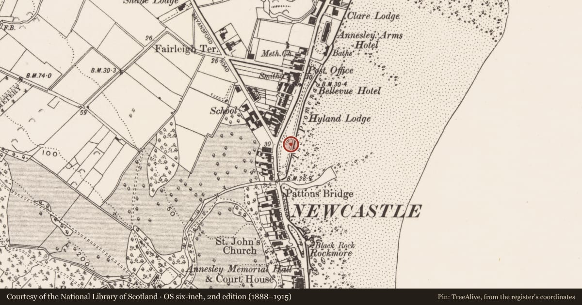 Ordnance Survey six-inch map, 2nd edition (1888–1915) covering the location of Band stand, Ballaghbeg, Newry, Mourne and Down, with a pin at the register's coordinates