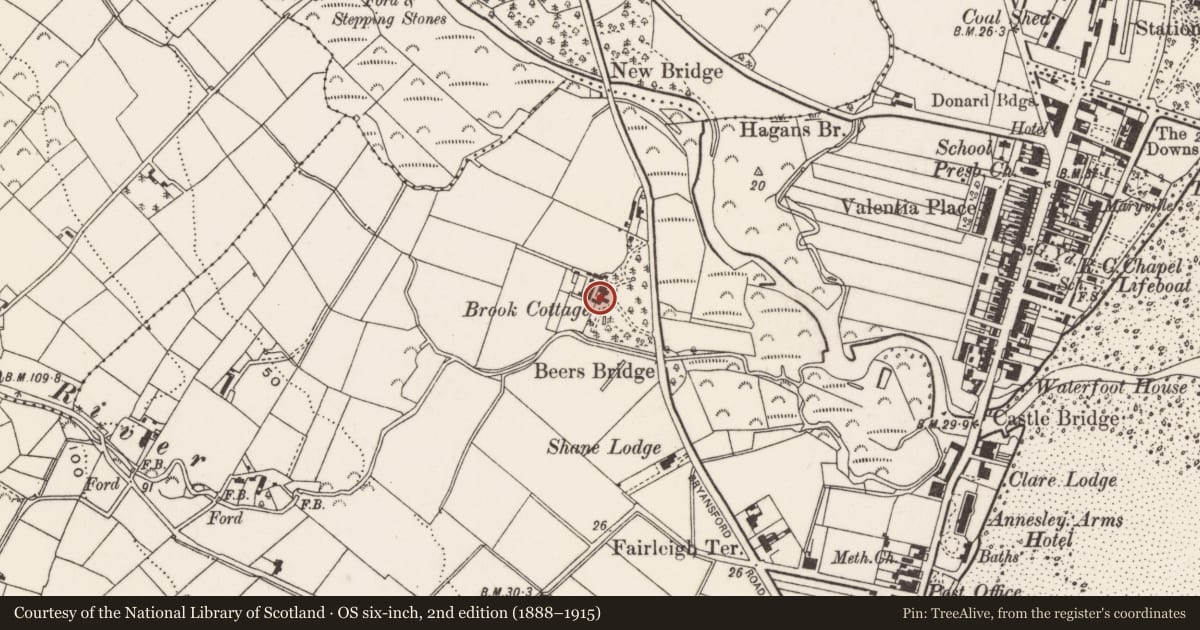 Ordnance Survey six-inch map, 2nd edition (1888–1915) covering the location of Brook Cottage, Ballaghbeg, Newry, Mourne and Down, with a pin at the register's coordinates