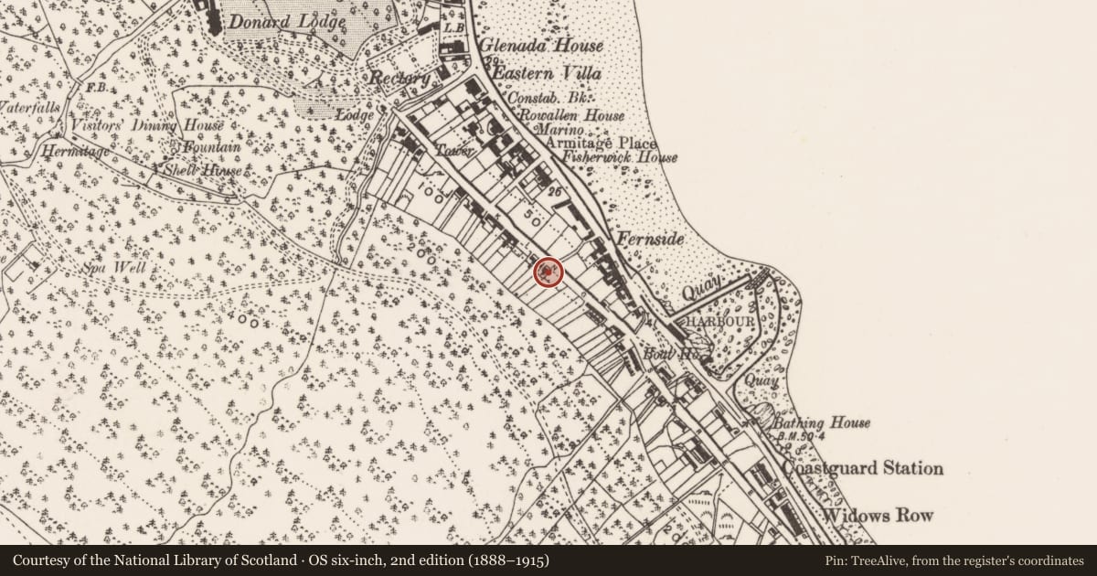 Ordnance Survey six-inch map, 2nd edition (1888–1915) covering the location of 65-67 King Street, Ballaghbeg, Newry, Mourne and Down, with a pin at the register's coordinates