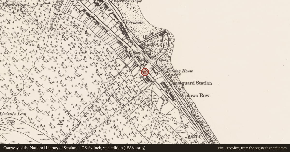 Ordnance Survey six-inch map, 2nd edition (1888–1915) covering the location of 127 King Street, Ballaghbeg, Newry, Mourne and Down, with a pin at the register's coordinates