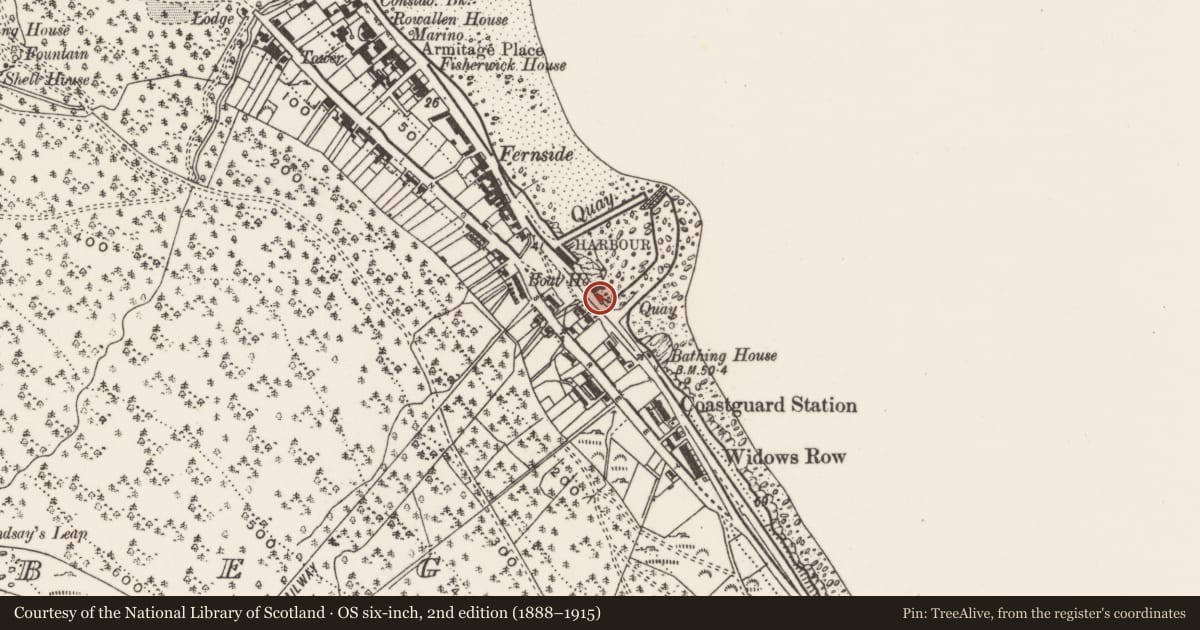 Ordnance Survey six-inch map, 2nd edition (1888–1915) covering the location of Former 'coastguard's watch house', Ballaghbeg, Newry, Mourne and Down, with a pin at the register's coordinates
