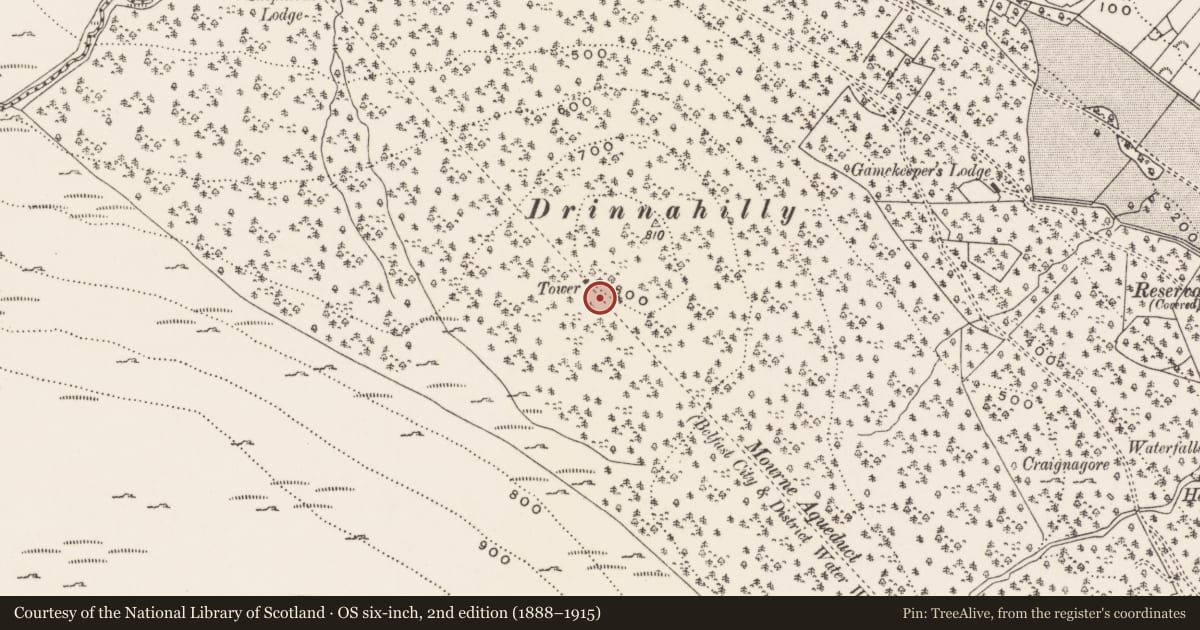 Ordnance Survey six-inch map, 2nd edition (1888–1915) covering the location of Instrument Sighting Tower, Donard, Newry, Mourne and Down, with a pin at the register's coordinates