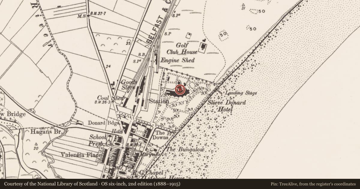 Ordnance Survey six-inch map, 2nd edition (1888–1915) covering the location of Slieve Donard Hotel, Newcastle, Newry, Mourne and Down, with a pin at the register's coordinates