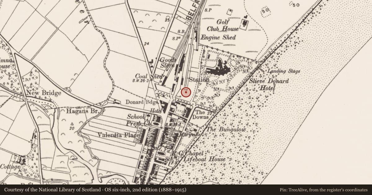 Ordnance Survey six-inch map, 2nd edition (1888–1915) covering the location of Tower at former railway station, Newcastle, Newry, Mourne and Down, with a pin at the register's coordinates