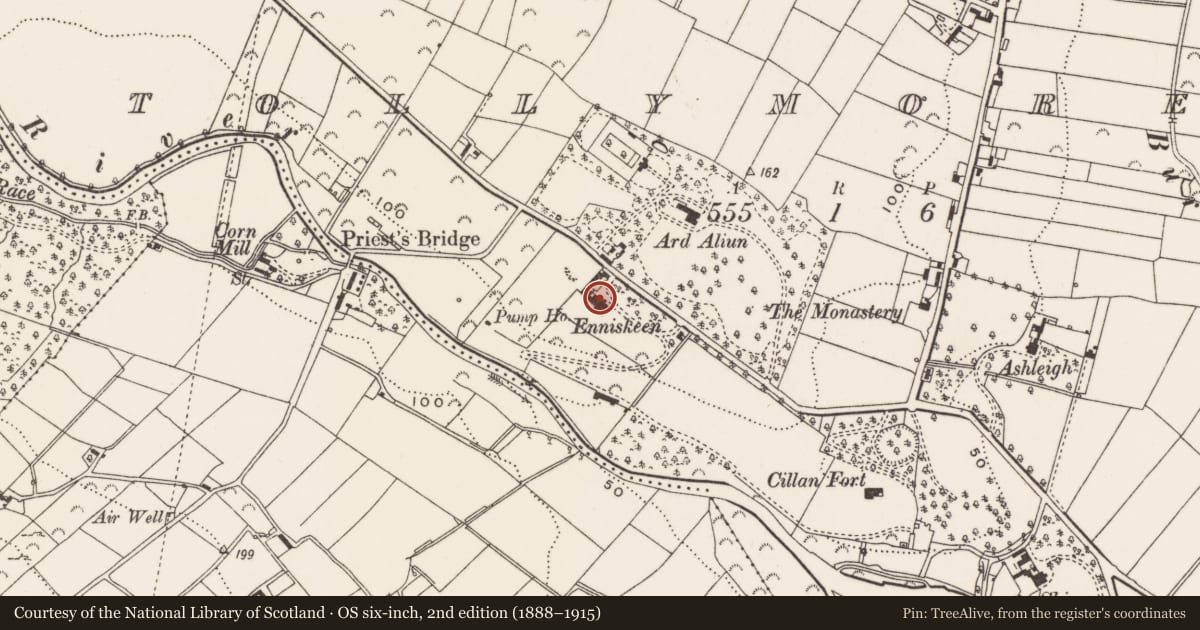 Ordnance Survey six-inch map, 2nd edition (1888–1915) covering the location of Enniskeen House Hotel, Newcastle, Newry, Mourne and Down, with a pin at the register's coordinates