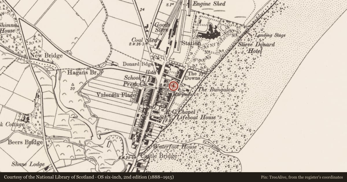 Ordnance Survey six-inch map, 2nd edition (1888–1915) covering the location of Our Lady of the Assumption RC Church, Newcastle, Newry, Mourne and Down, with a pin at the register's coordinates