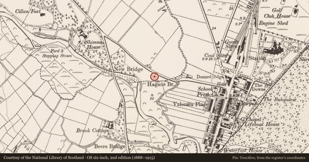 Ordnance Survey six-inch map, 2nd edition (1888–1915) covering the location of Maryfield, Newcastle, Newry, Mourne and Down, with a pin at the register's coordinates