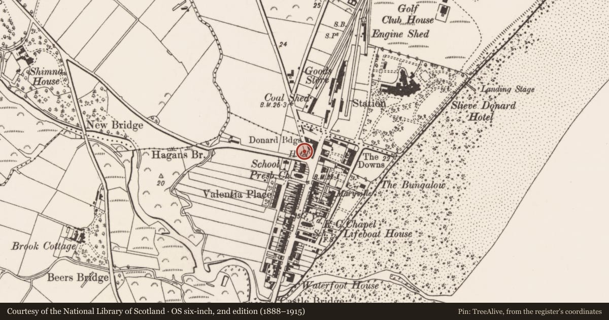 Ordnance Survey six-inch map, 2nd edition (1888–1915) covering the location of Newcastle Technical College (original building), Newry, Mourne and Down, with a pin at the register's coordinates