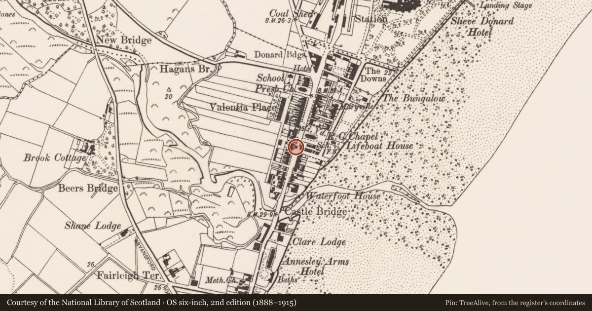 Ordnance Survey six-inch map, 2nd edition (1888–1915) covering the location of 97 Main Street, Newcastle, Newry, Mourne and Down, with a pin at the register's coordinates