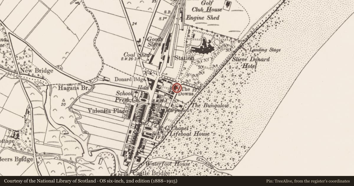 Ordnance Survey six-inch map, 2nd edition (1888–1915) covering the location of 34 Downs Road, Newcastle, Newry, Mourne and Down, with a pin at the register's coordinates