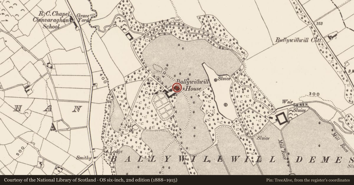 Ordnance Survey six-inch map, 2nd edition (1888–1915) covering the location of Ballywillwill House, Newry, Mourne and Down, with a pin at the register's coordinates