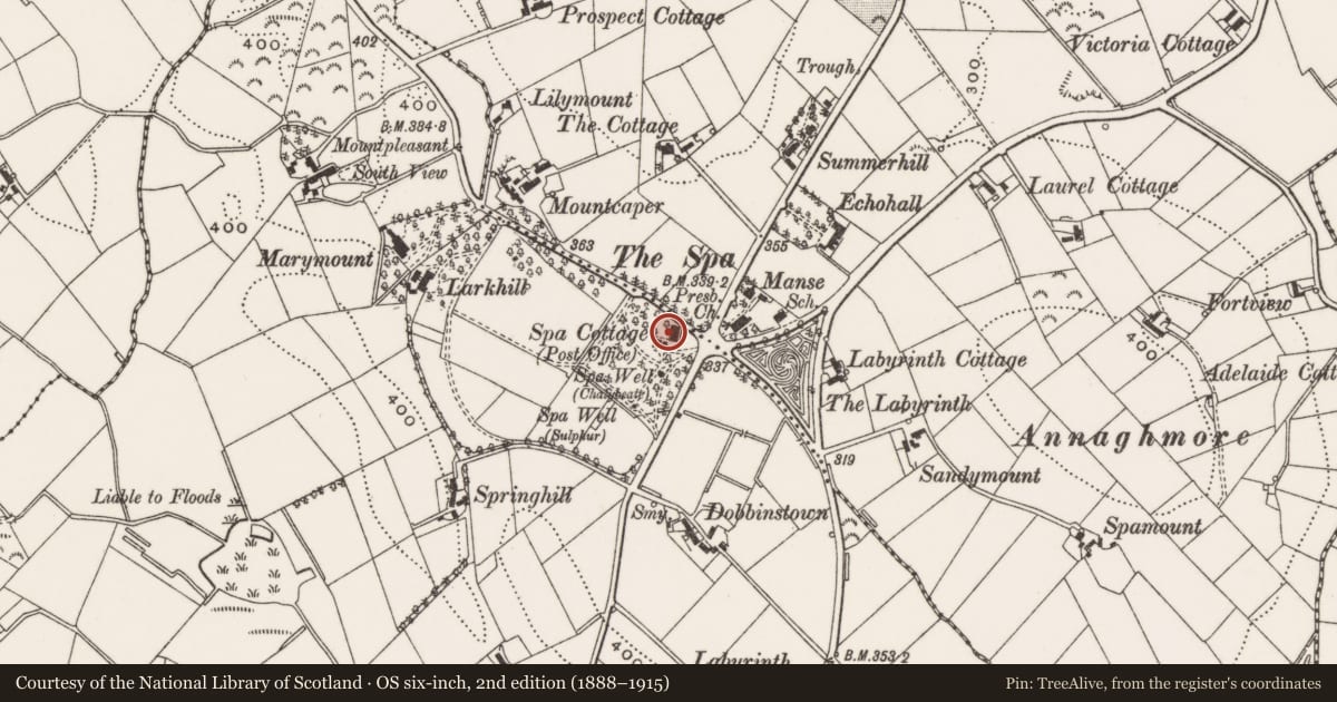 Ordnance Survey six-inch map, 2nd edition (1888–1915) covering the location of Assembly Rooms, Newry, Mourne and Down, with a pin at the register's coordinates