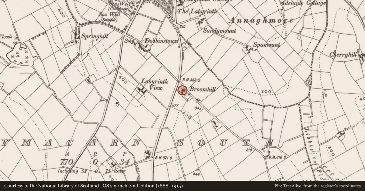 Ordnance Survey six-inch map, 2nd edition (1888–1915) covering the location of BROOMHILL, Newry, Mourne and Down, with a pin at the register's coordinates
