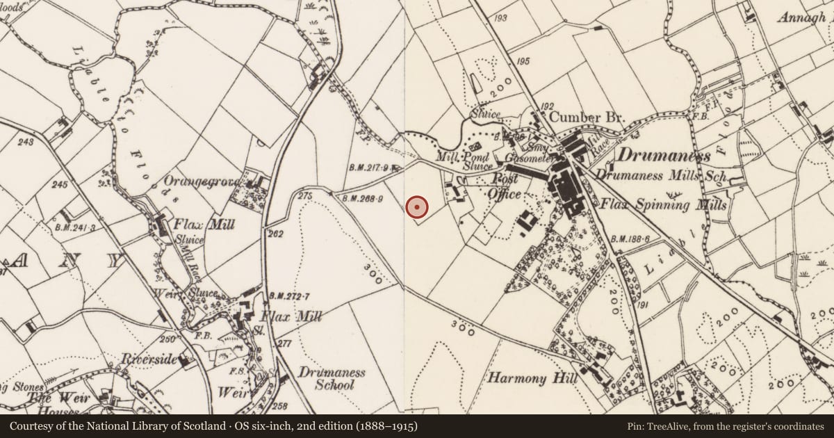 Ordnance Survey six-inch map, 2nd edition (1888–1915) covering the location of 3 Hillside Cottages, Newry, Mourne and Down, with a pin at the register's coordinates