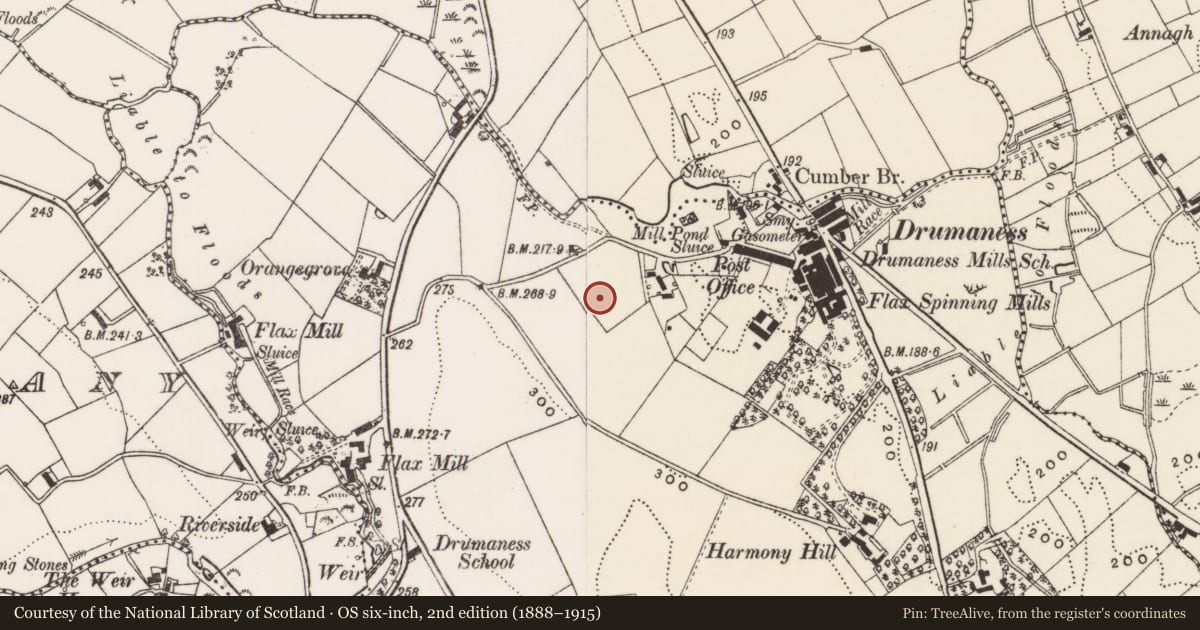 Ordnance Survey six-inch map, 2nd edition (1888–1915) covering the location of 6 Hillside Cottages, Newry, Mourne and Down, with a pin at the register's coordinates