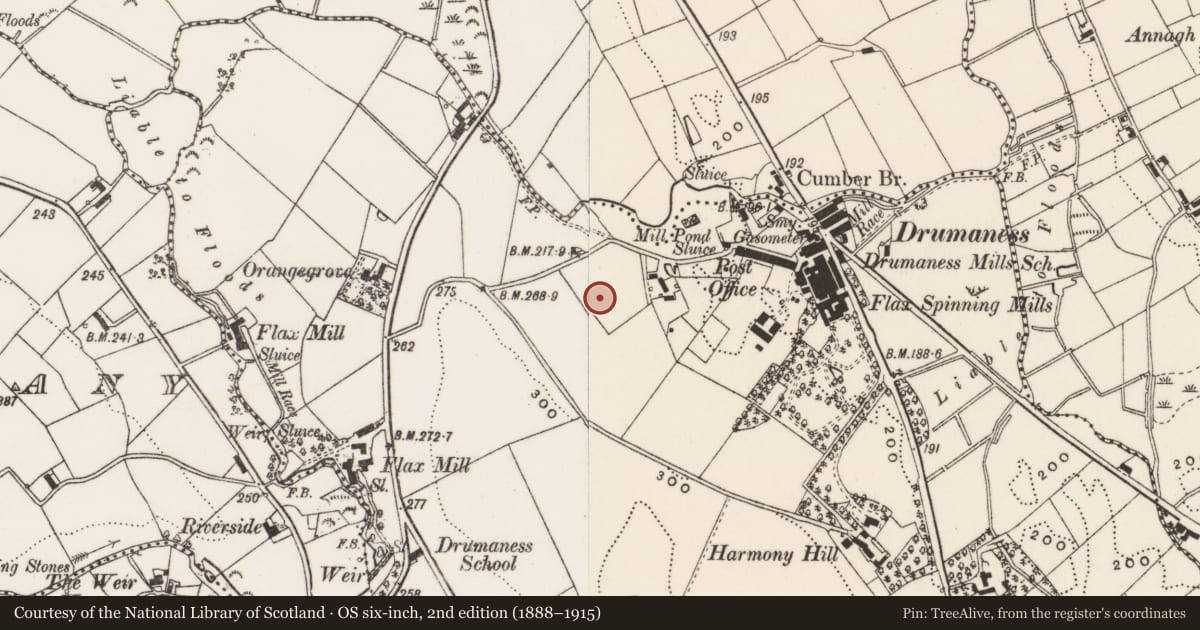 Ordnance Survey six-inch map, 2nd edition (1888–1915) covering the location of 7 Hillside Cottages, Newry, Mourne and Down, with a pin at the register's coordinates