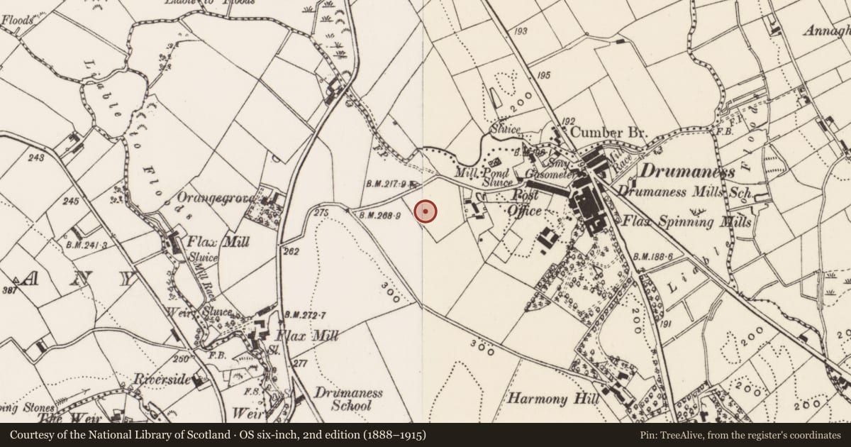 Ordnance Survey six-inch map, 2nd edition (1888–1915) covering the location of 8 Hillside Cottages, Newry, Mourne and Down, with a pin at the register's coordinates