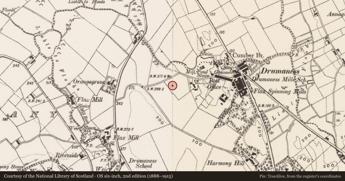 Ordnance Survey six-inch map, 2nd edition (1888–1915) covering the location of 10 Hillside Cottages, Newry, Mourne and Down, with a pin at the register's coordinates