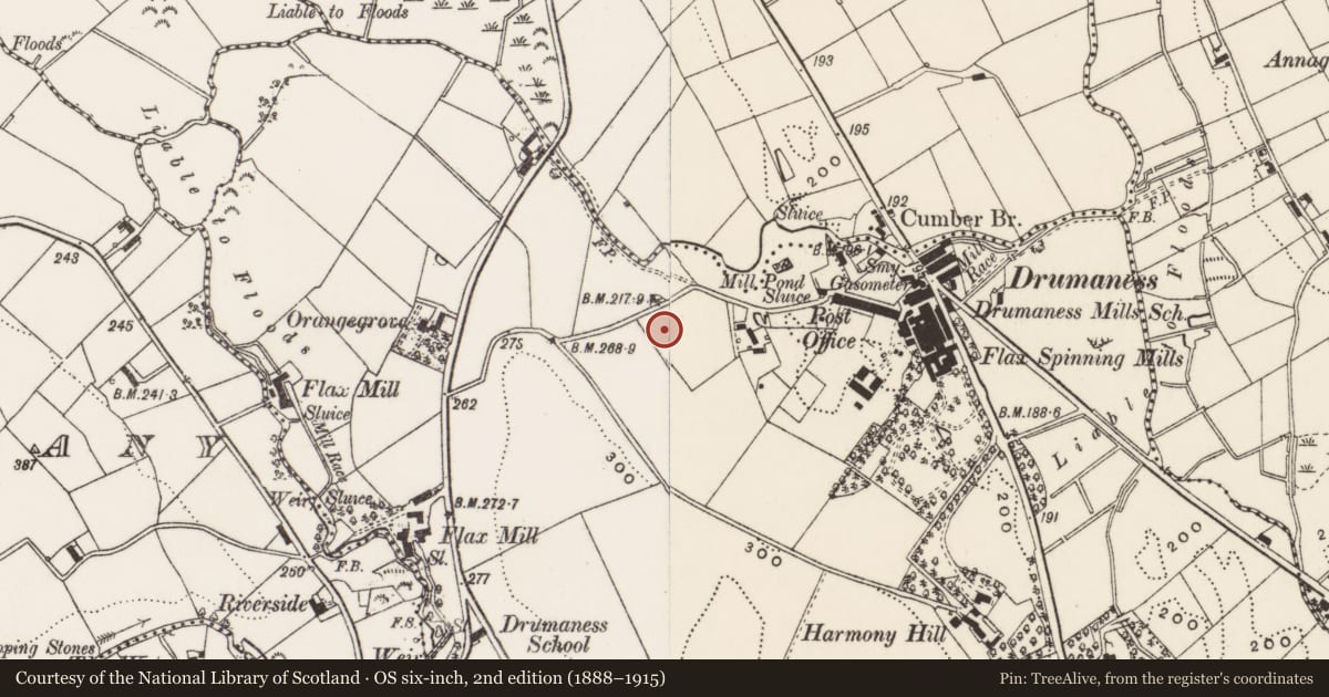 Ordnance Survey six-inch map, 2nd edition (1888–1915) covering the location of 12 Hillside Cottages, Newry, Mourne and Down, with a pin at the register's coordinates