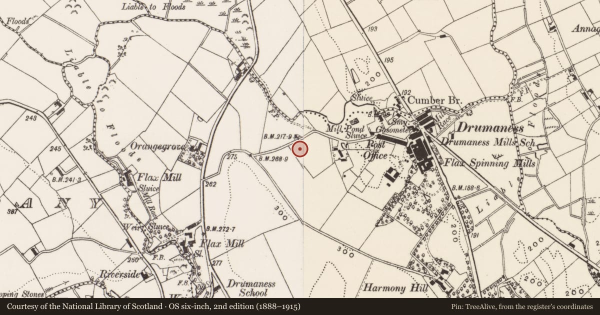 Ordnance Survey six-inch map, 2nd edition (1888–1915) covering the location of 13 Hillside Cottages, Newry, Mourne and Down, with a pin at the register's coordinates