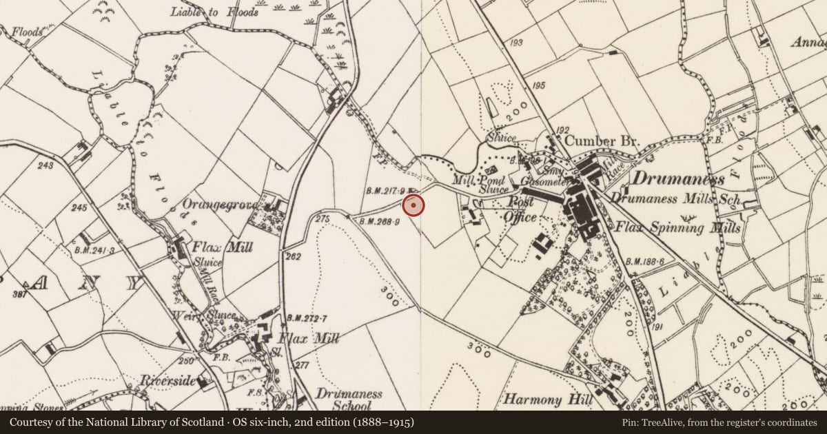 Ordnance Survey six-inch map, 2nd edition (1888–1915) covering the location of 15 Hillside Cottages, Newry, Mourne and Down, with a pin at the register's coordinates