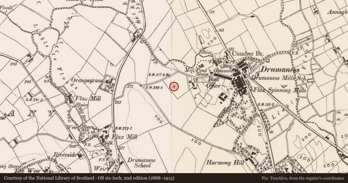 Ordnance Survey six-inch map, 2nd edition (1888–1915) covering the location of Pump between Hillside Terrace, Drumaness, Ballynahinch, Co Down, Newry, Mourne and Down, with a pin at the register's coordinates