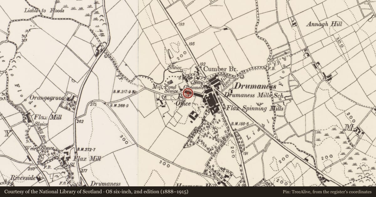 Ordnance Survey six-inch map, 2nd edition (1888–1915) covering the location of 3 Red Row, Newry, Mourne and Down, with a pin at the register's coordinates