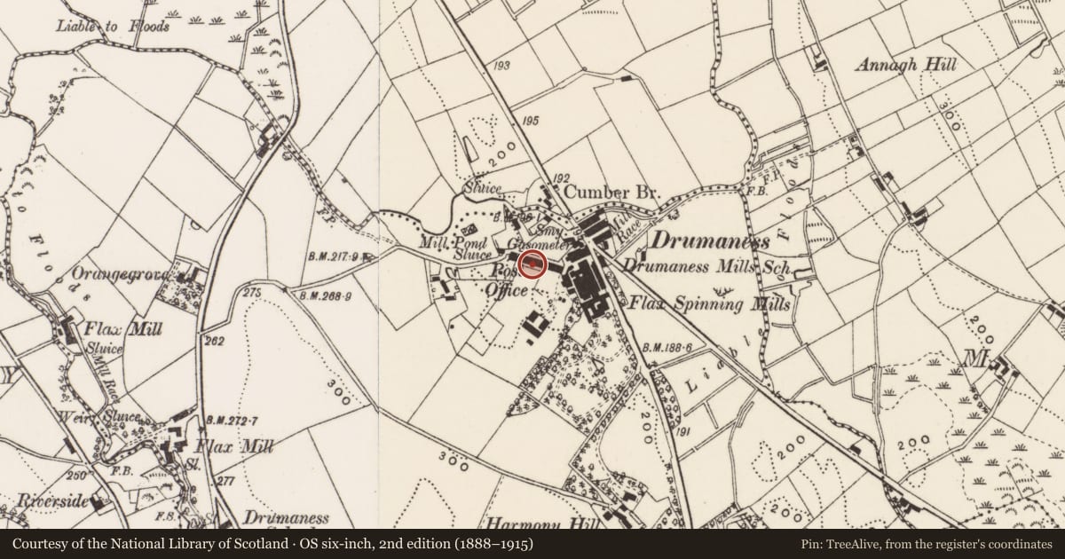 Ordnance Survey six-inch map, 2nd edition (1888–1915) covering the location of 8 Red Row, Newry, Mourne and Down, with a pin at the register's coordinates
