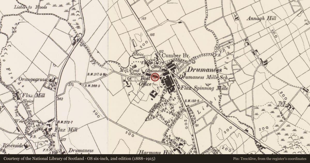 Ordnance Survey six-inch map, 2nd edition (1888–1915) covering the location of 11 Red Row, Newry, Mourne and Down, with a pin at the register's coordinates
