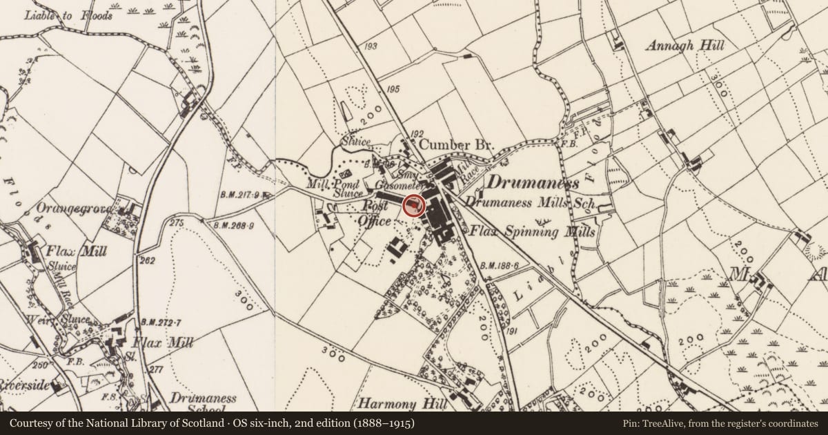 Ordnance Survey six-inch map, 2nd edition (1888–1915) covering the location of 19 Red Row, Newry, Mourne and Down, with a pin at the register's coordinates