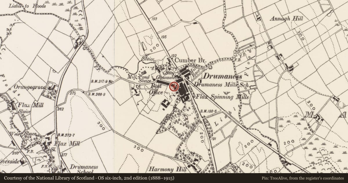 Ordnance Survey six-inch map, 2nd edition (1888–1915) covering the location of 21 Red Row, Newry, Mourne and Down, with a pin at the register's coordinates