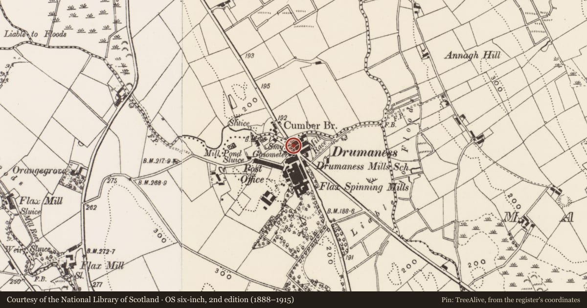 Ordnance Survey six-inch map, 2nd edition (1888–1915) covering the location of 1 Riverside Cottages, Newry, Mourne and Down, with a pin at the register's coordinates