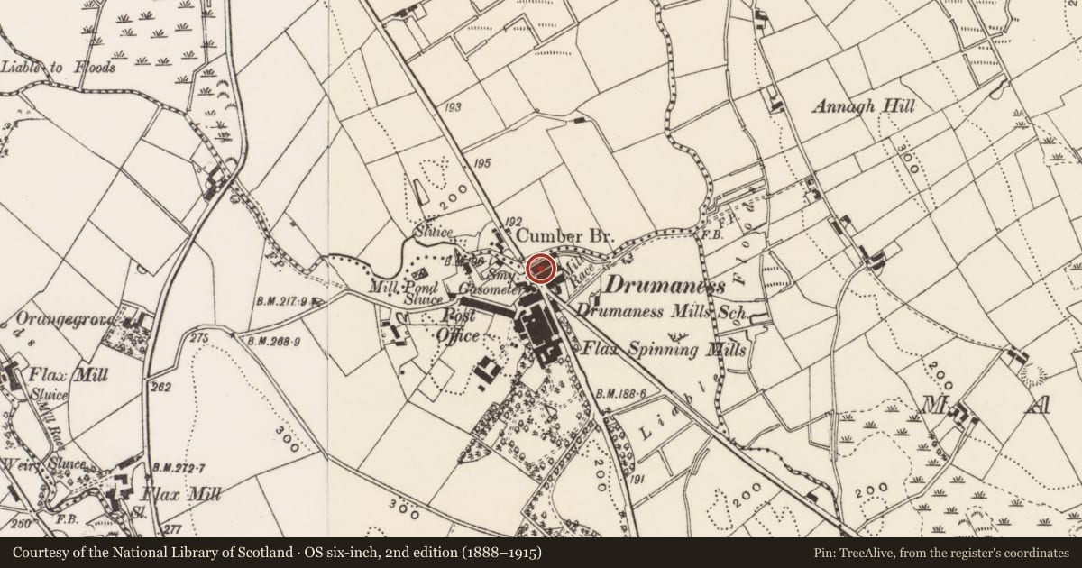 Ordnance Survey six-inch map, 2nd edition (1888–1915) covering the location of 4 Riverside Cottages, Newry, Mourne and Down, with a pin at the register's coordinates