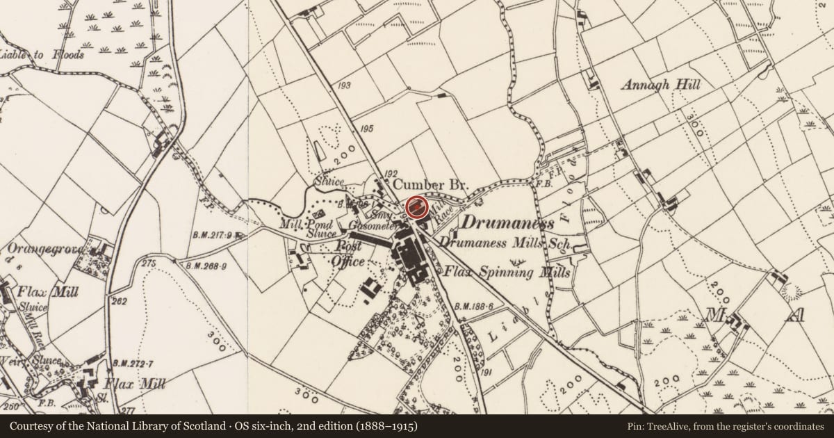 Ordnance Survey six-inch map, 2nd edition (1888–1915) covering the location of 7 Riverside Cottages, Newry, Mourne and Down, with a pin at the register's coordinates