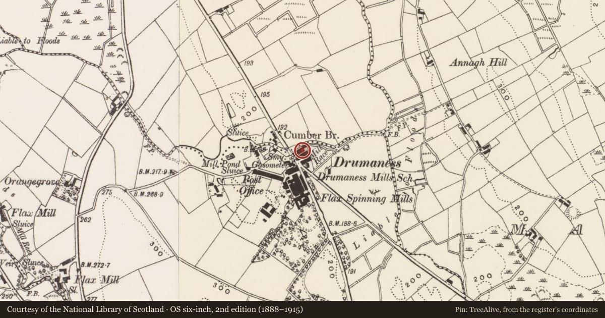Ordnance Survey six-inch map, 2nd edition (1888–1915) covering the location of 8 Riverside Cottages, Newry, Mourne and Down, with a pin at the register's coordinates