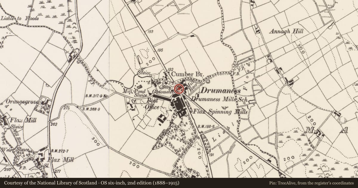 Ordnance Survey six-inch map, 2nd edition (1888–1915) covering the location of 1 The Green, Newry, Mourne and Down, with a pin at the register's coordinates