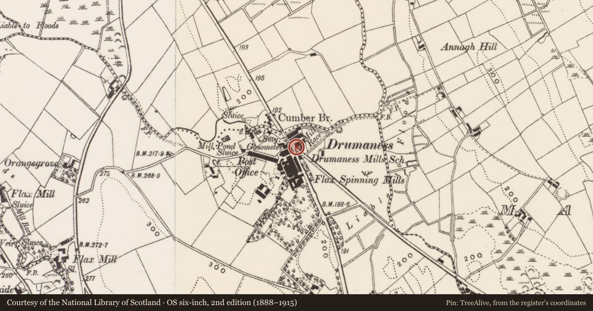 Ordnance Survey six-inch map, 2nd edition (1888–1915) covering the location of 2 The Green, Newry, Mourne and Down, with a pin at the register's coordinates