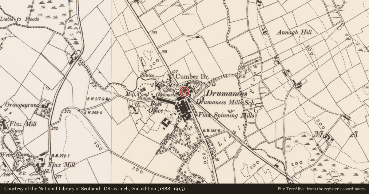 Ordnance Survey six-inch map, 2nd edition (1888–1915) covering the location of 3 The Green, Newry, Mourne and Down, with a pin at the register's coordinates
