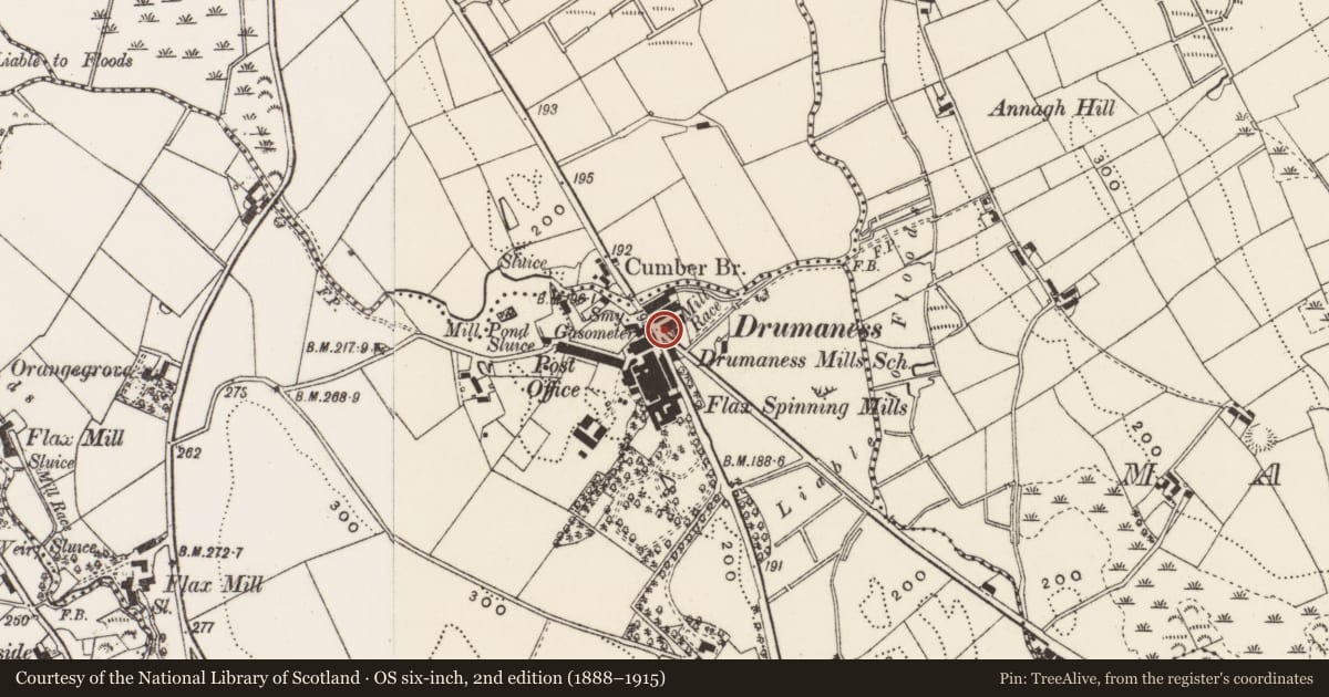 Ordnance Survey six-inch map, 2nd edition (1888–1915) covering the location of 4 The Green, Newry, Mourne and Down, with a pin at the register's coordinates