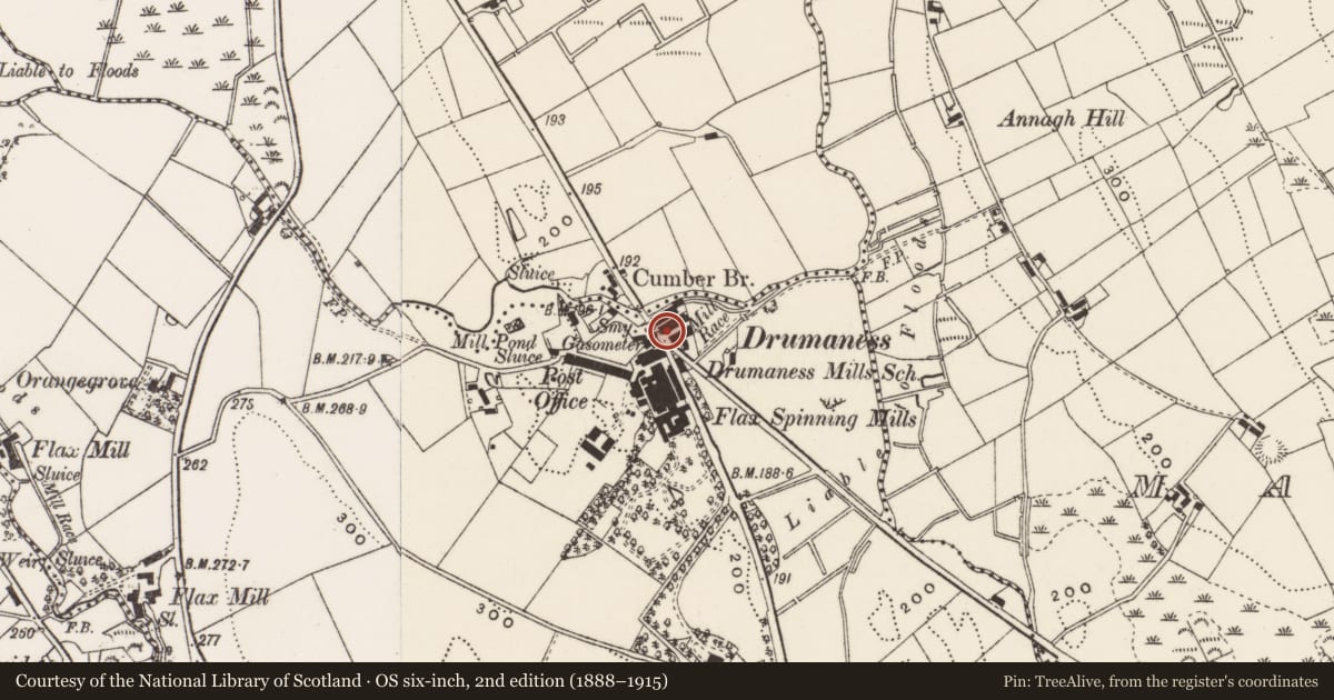 Ordnance Survey six-inch map, 2nd edition (1888–1915) covering the location of 5 The Green, Newry, Mourne and Down, with a pin at the register's coordinates