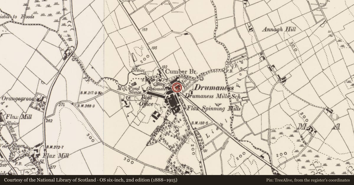 Ordnance Survey six-inch map, 2nd edition (1888–1915) covering the location of 6 The Green, Newry, Mourne and Down, with a pin at the register's coordinates