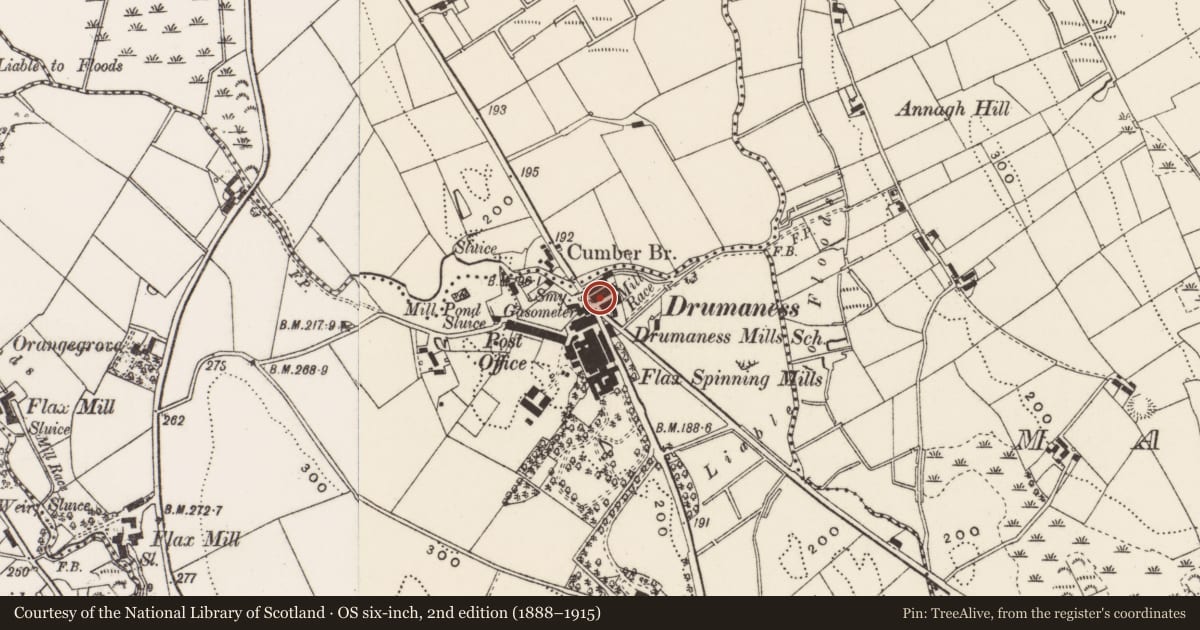 Ordnance Survey six-inch map, 2nd edition (1888–1915) covering the location of 7 The Green, Newry, Mourne and Down, with a pin at the register's coordinates