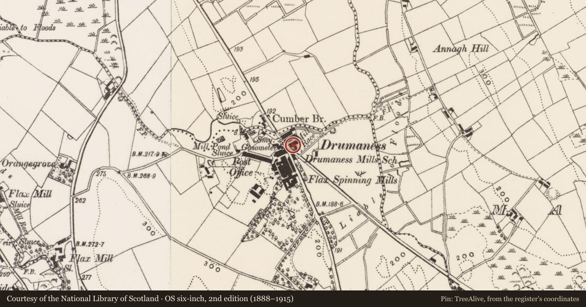 Ordnance Survey six-inch map, 2nd edition (1888–1915) covering the location of 8 The Green, Newry, Mourne and Down, with a pin at the register's coordinates
